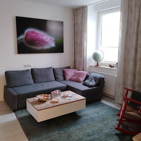 Ferienwohnung Am Geysirzentrum أندرناخ المظهر الخارجي الصورة